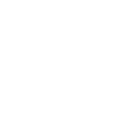 Annaly Capital Management. Inc. Share Price